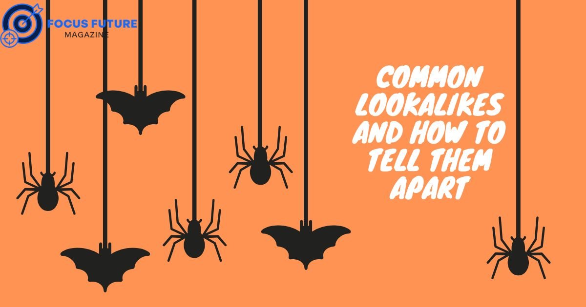 Common Lookalikes and How to Tell Them Apart