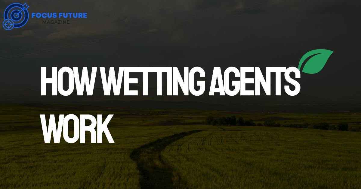 How Wetting Agents Work