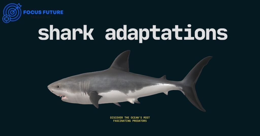 shark adaptations