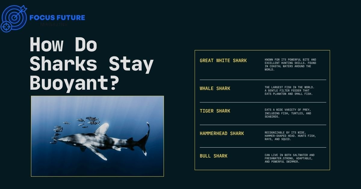 How Do Sharks Stay Buoyant? 